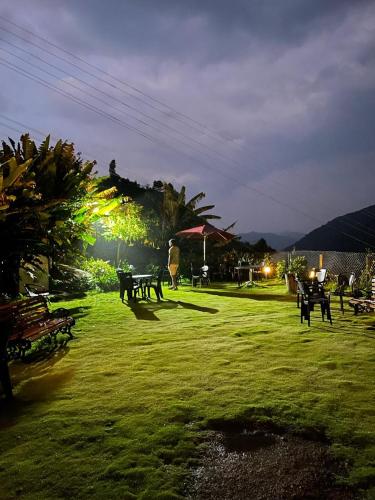 cherry blossom homestay