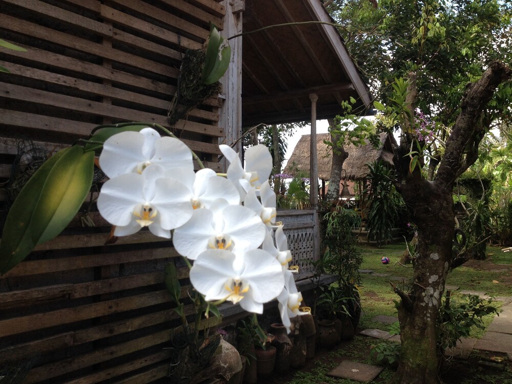 dtegale homestay
