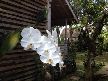 dtegale homestay