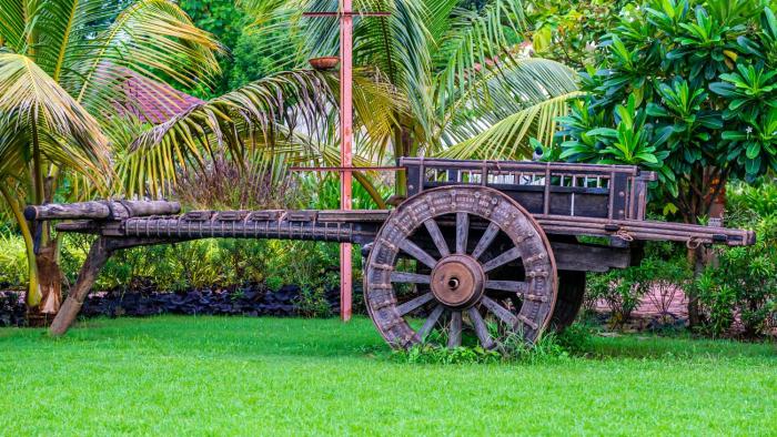 the fern sattva resort polo forest