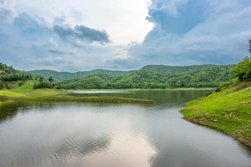 the fern sattva resort polo forest