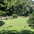 los andes