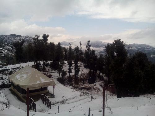 oak climbing resort