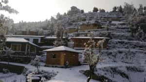 oak climbing resort