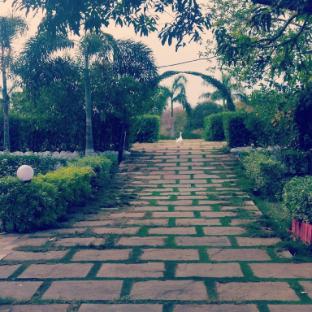 singanama farm resort