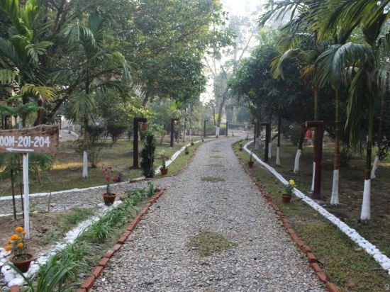 the riverwood forest retreat dooars