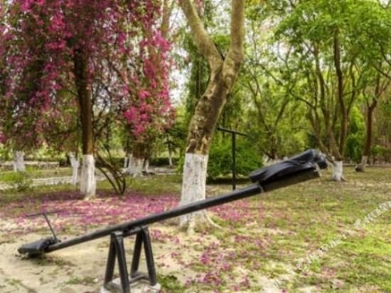 the riverwood forest retreat dooars