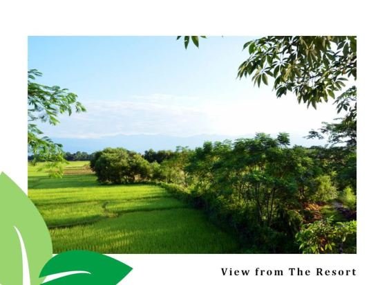 the riverwood forest retreat dooars