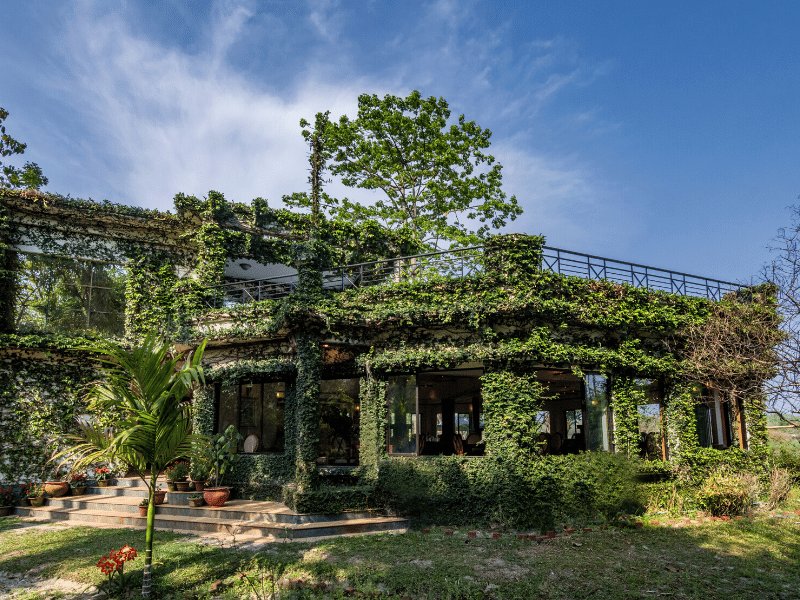 The Riverwood Forest Retreat - Dooars,Chalsa>>Bagdogra,4 star