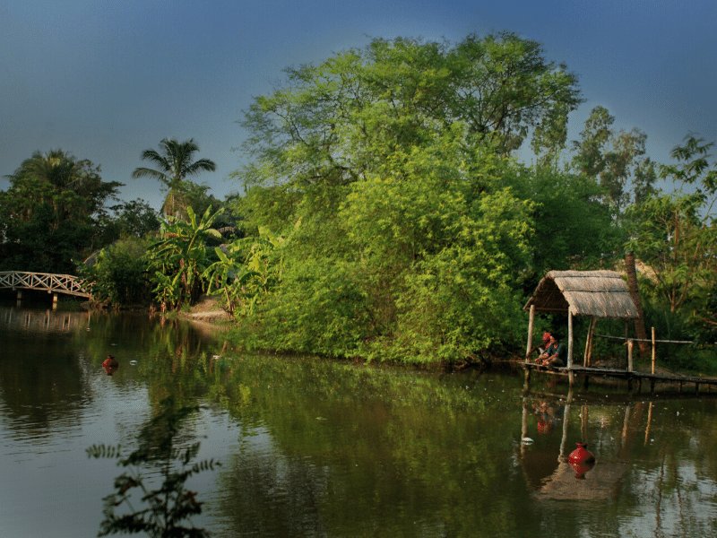 The Riverwood Forest Retreat - Dooars,Chalsa>>Bagdogra,4 star