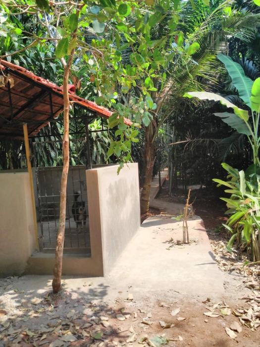 mangalore