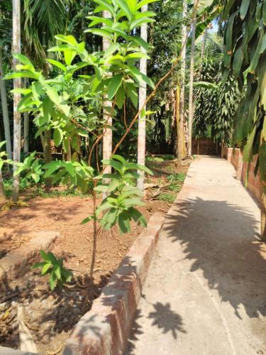 mangalore