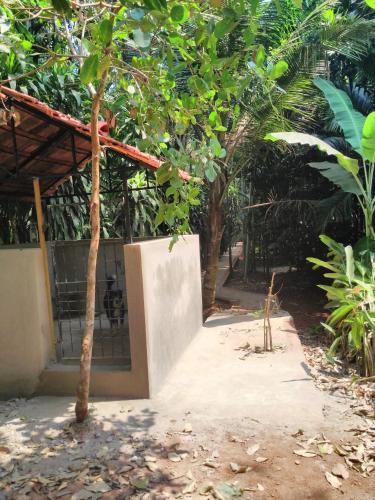 mangalore