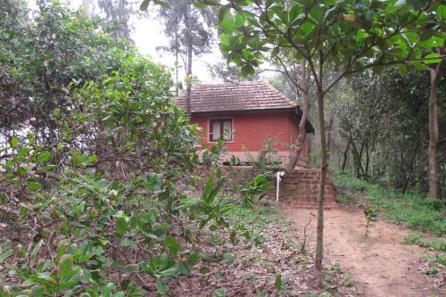 ombodhi retreat