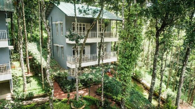 the breeze resort munnar