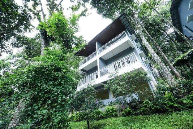 the breeze resort munnar