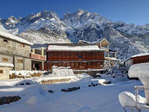 stayapart shruti guest house