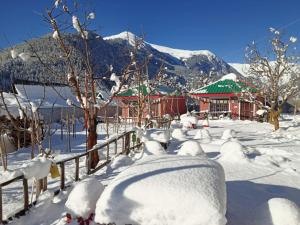 stayapart shruti guest house