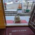 stayapart shruti guest house