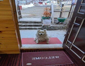 stayapart shruti guest house