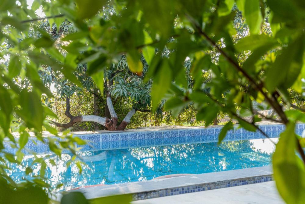 gir county home stay