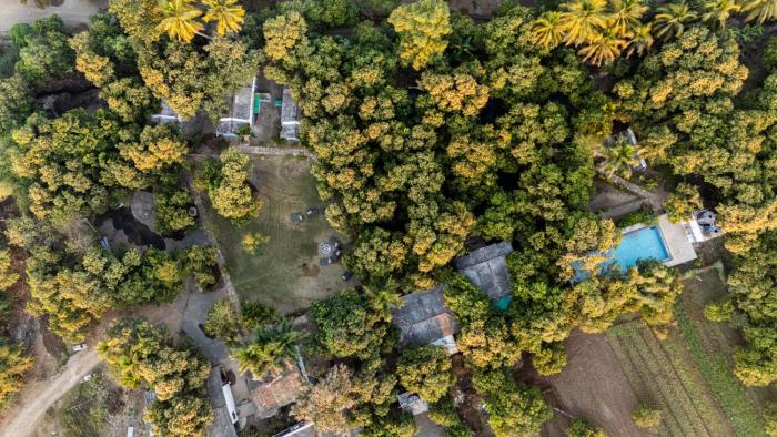 gir county home stay