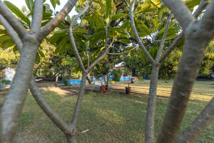 gir county home stay