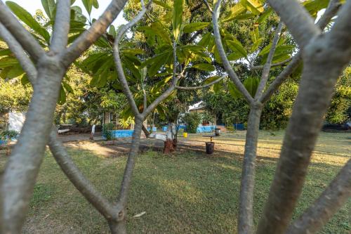 gir county home stay