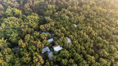 gir county home stay