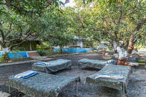 gir county home stay