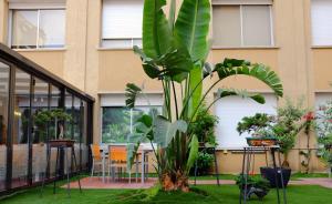 aparthotel silver