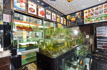 hotel emperor macau