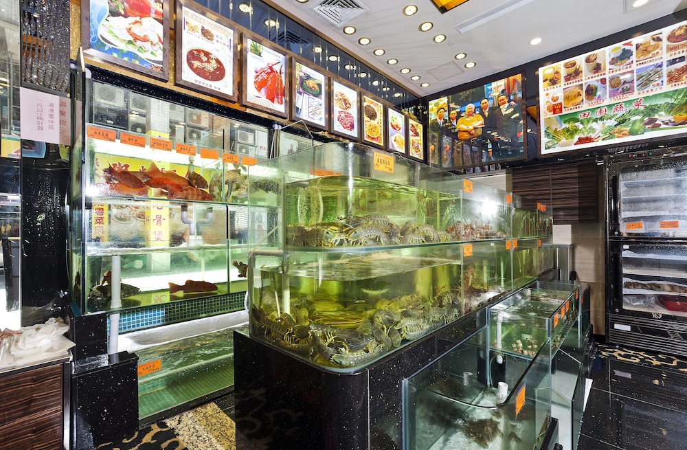 hotel emperor macau