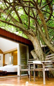 veranda lodge