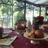 la mylandre chambre dhotes