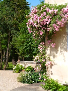 la maison du cremant
