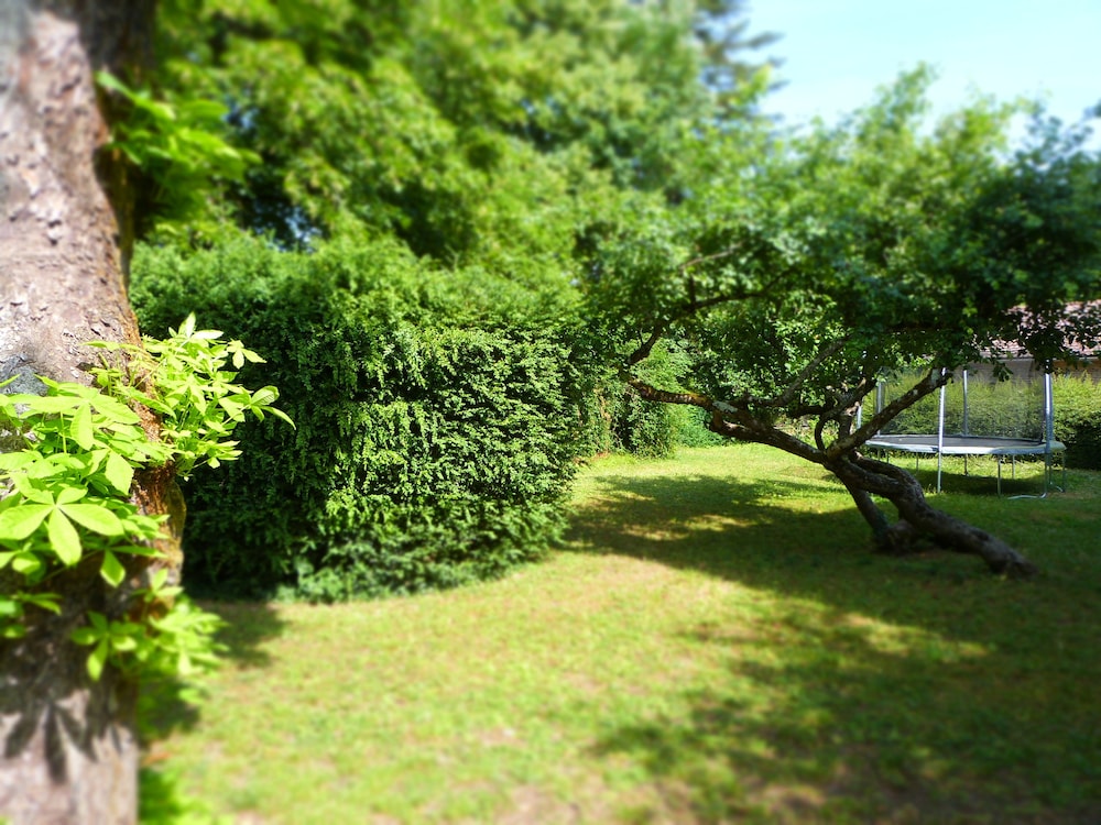 savigny les beaune