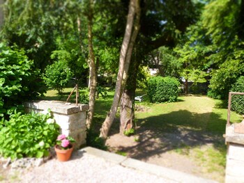 savigny les beaune