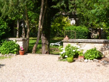 savigny les beaune