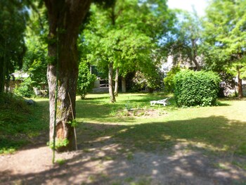 savigny les beaune
