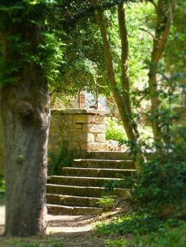 savigny les beaune