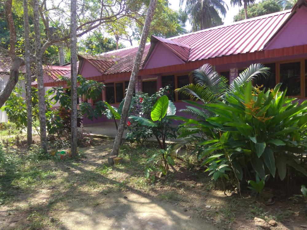 havelock harmony resort