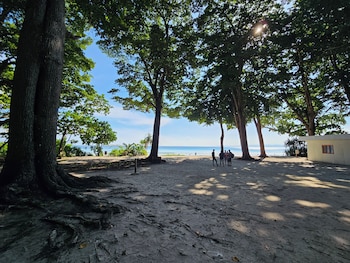 havelock harmony resort