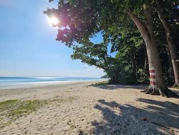 havelock harmony resort