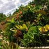 victoria palms hotel