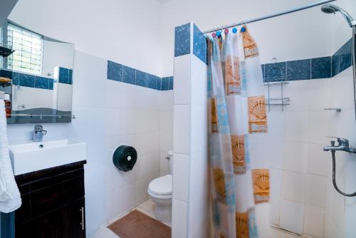 hostal magallanes romana