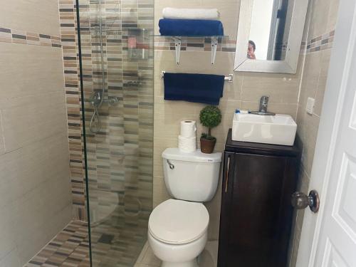 hostal magallanes romana