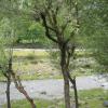 hakeem homestay