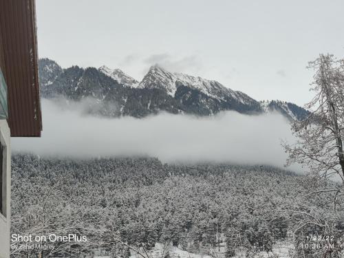 himalaya discover resort