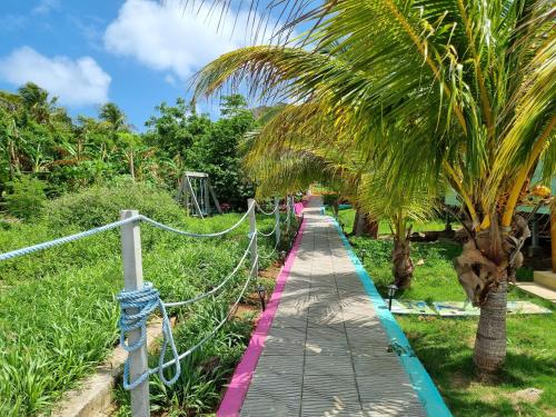 santa catalina island